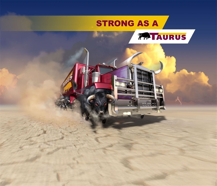 Taurus Tires typo