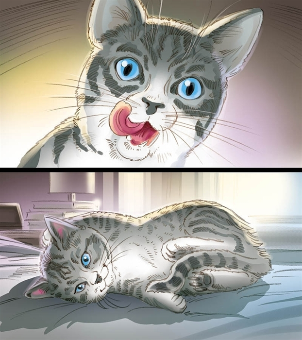 Cat storyboard