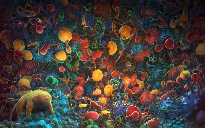 Christoph Voorn5
