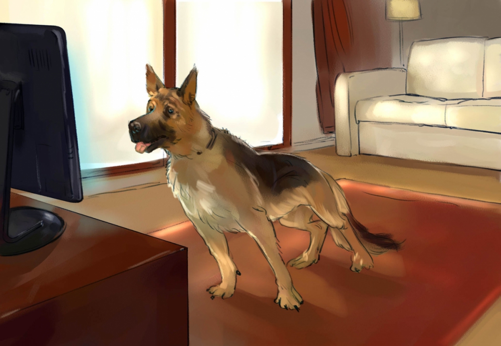 Illustrationen