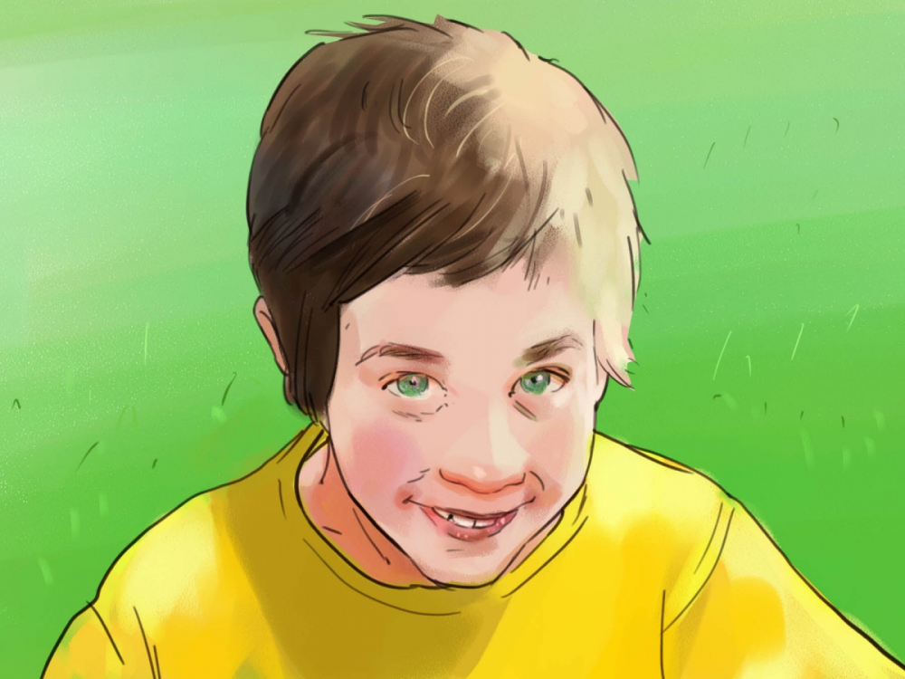 Illustrationen