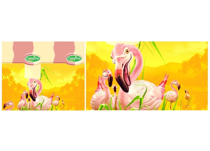 Brader-Campinaverpakkingenflamingos