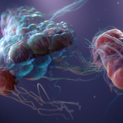 Medizinische 3D Visualisierungen Medizinische 3D Visualisierungen