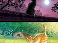 Cat storyboard 1