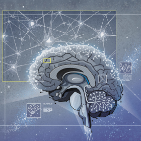 Brain Brain