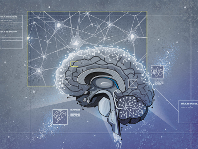 Brain