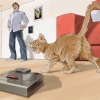Cat ernesto melo
