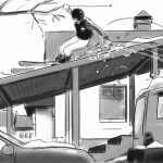 Storyboards, People, Kids, Sport, Food