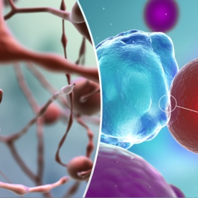 3D Artist für Pharma und Medizin