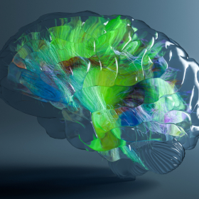 Medizinische 3D Animationen Immunsytem für Pfizer Medizinische 3D Animationen Immunsytem für Pfizer