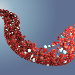 Medizinische 3D Animationen Immunsytem für Pfizer