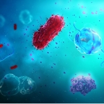 medizinische 3D Visualisierung