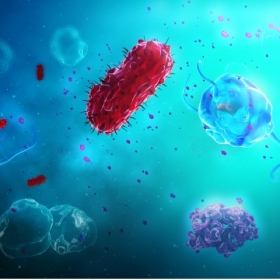 medizinische 3D Visualisierung medizinische 3D Visualisierung