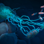 Medizinische 3D Visualisierungen