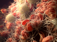 Medizinische 3D Animationen Immunsytem Kunde Pfizer